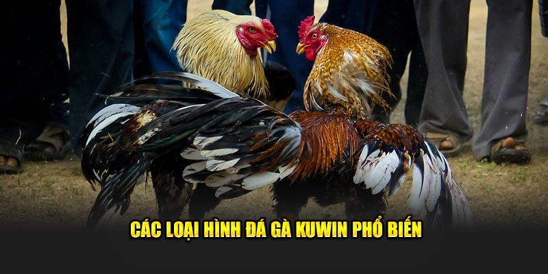 cac-loai-hinh-da-ga-kuwin-pho-bien